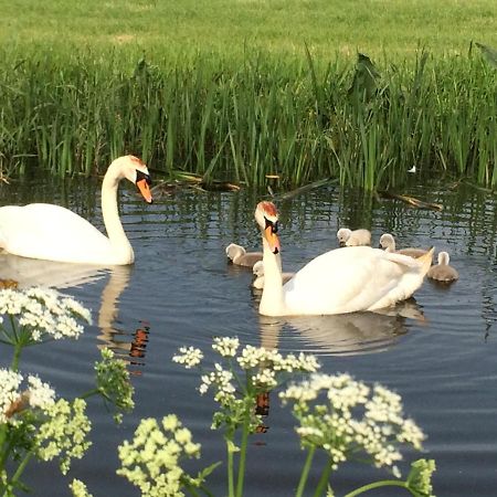 Friesland-Cottage Molkwerum Zewnętrze zdjęcie