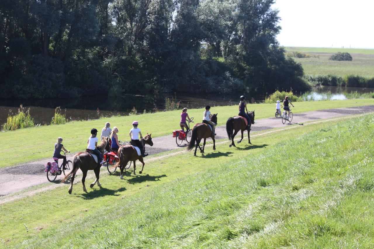 Friesland-Cottage Molkwerum Zewnętrze zdjęcie