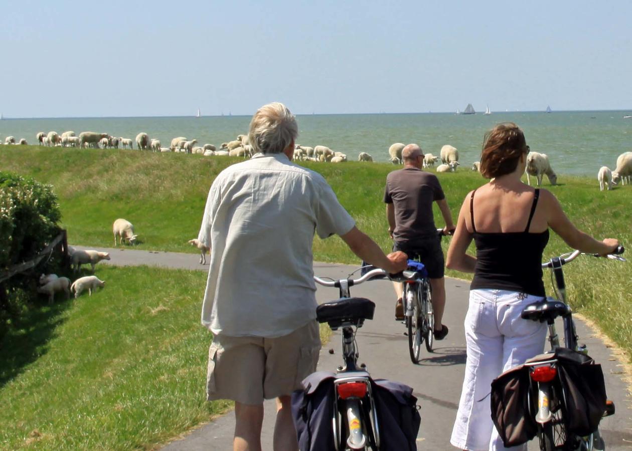 Friesland-Cottage Molkwerum Zewnętrze zdjęcie