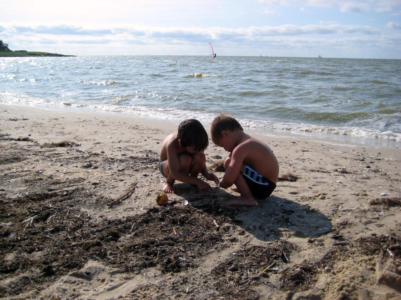 Friesland-Cottage Molkwerum Zewnętrze zdjęcie